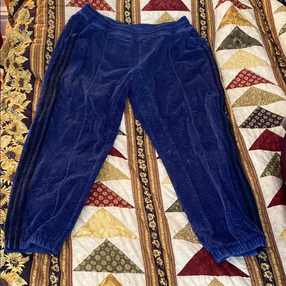 IVY PARK Blue Sweatpants Stylish Joggers